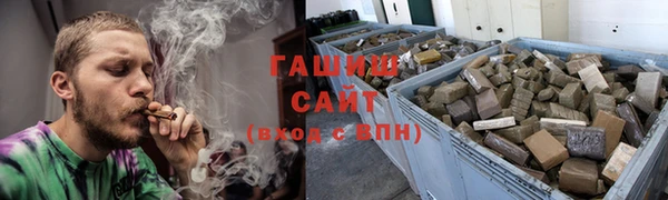 прущие грибы Беломорск
