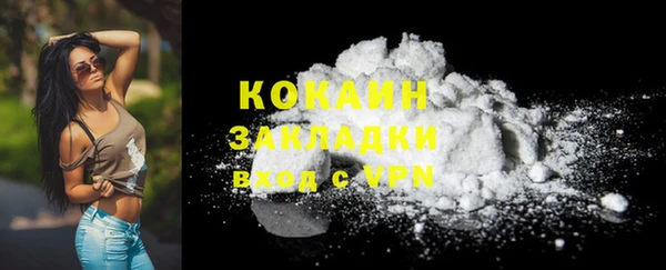 прущие грибы Беломорск