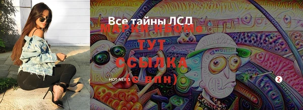 прущие грибы Беломорск