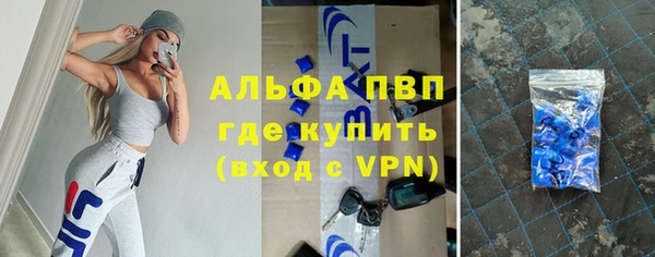 PSILOCYBIN Белокуриха