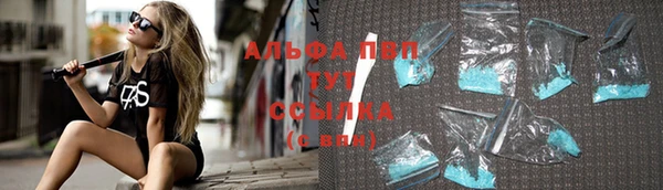 прущие грибы Беломорск