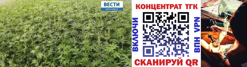 Купить  Алексеевка  ТГК концентрат 